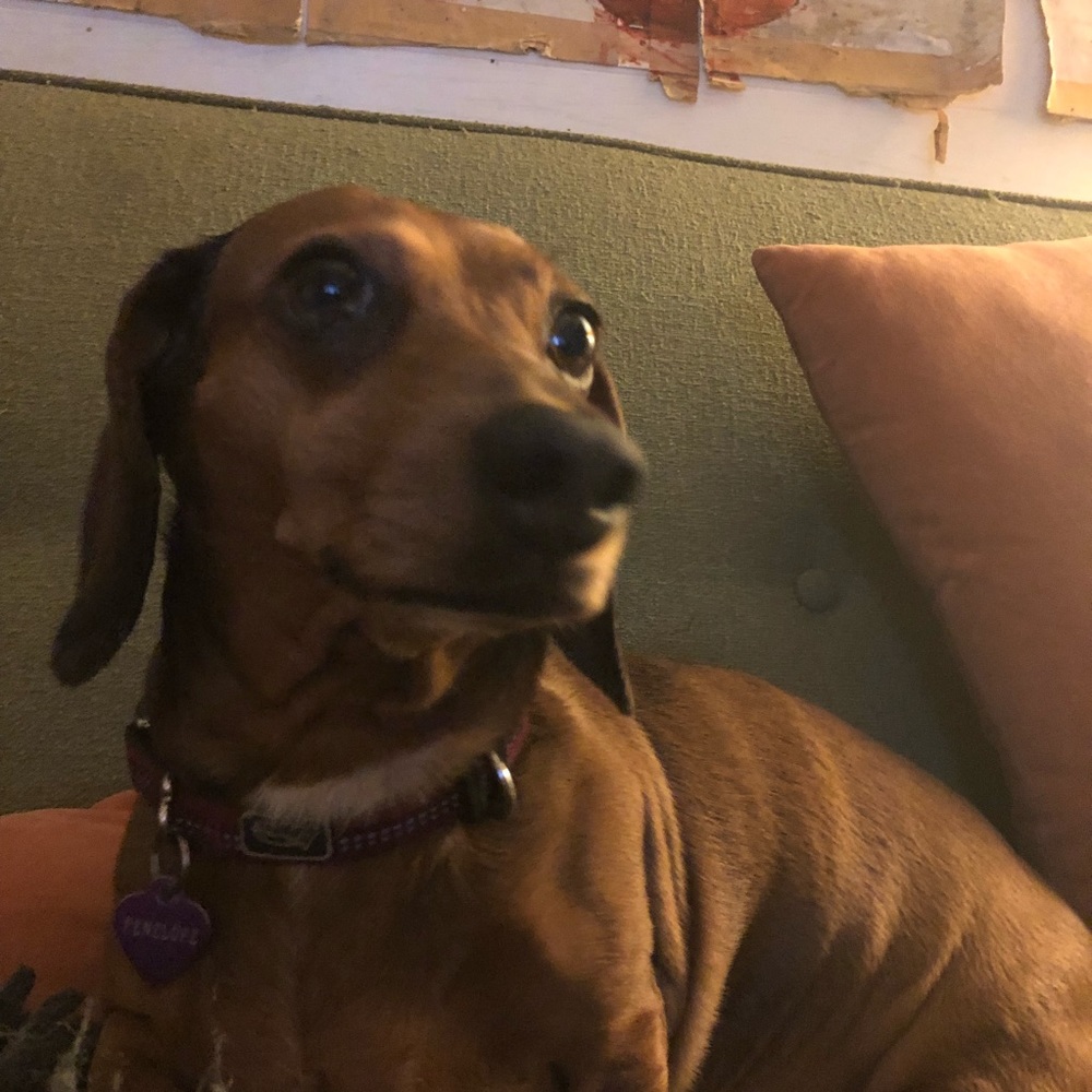 Meet your Posher, Marty